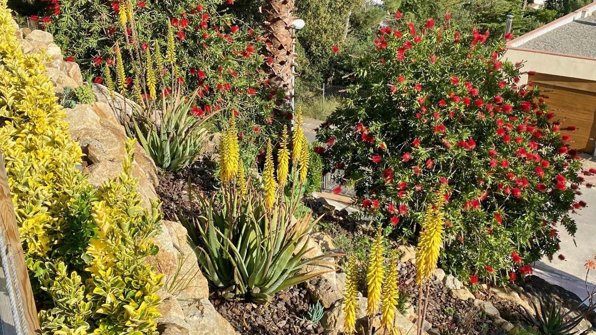 Xl Villa Calonge Calonge   Calonge (Catalonia)