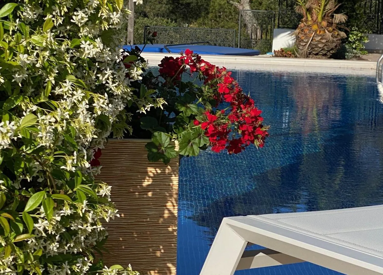 Xl Villa Calonge